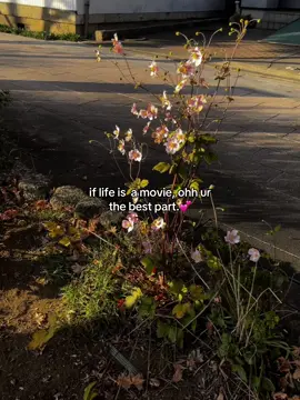 #danielcaesar #sgtiktok #realshi #foryoupagе #wockst★rz #💕 #relatablecontent #him 