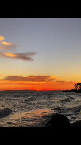 dandelions emang sesakit itu #dandelions #sunset #fyp 