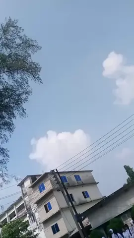 kheti thik asi🤣🤣#fouryou #foryoupage❤️❤️ #tiktok #trending #brokenheart #vairalvideo #brokenheart #Love #myhart 