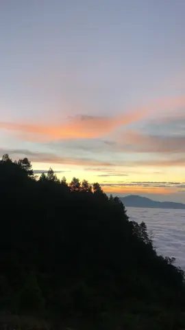 Selalu ada alasan untuk kembali menikmati keindahanmu mt.sesean!!!#fyp #mountain #lautanawan #torajasulawesiselatan #videoestetik #sunrise 