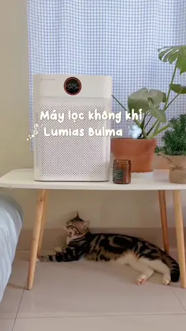 Nhà nào đang nuôi pet tham khảo em này nha 🤗🫶🏻🏡 #thaoonha #Lumias #maylockhongkhiLumias #LumiasBulma #GIGAvn #maylockhongkhi #Home #homdecor @Lumias Việt Nam 