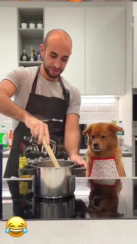 Sorry 🐕😂🇺🇸#pet #funny #dog #foryou #asmr 