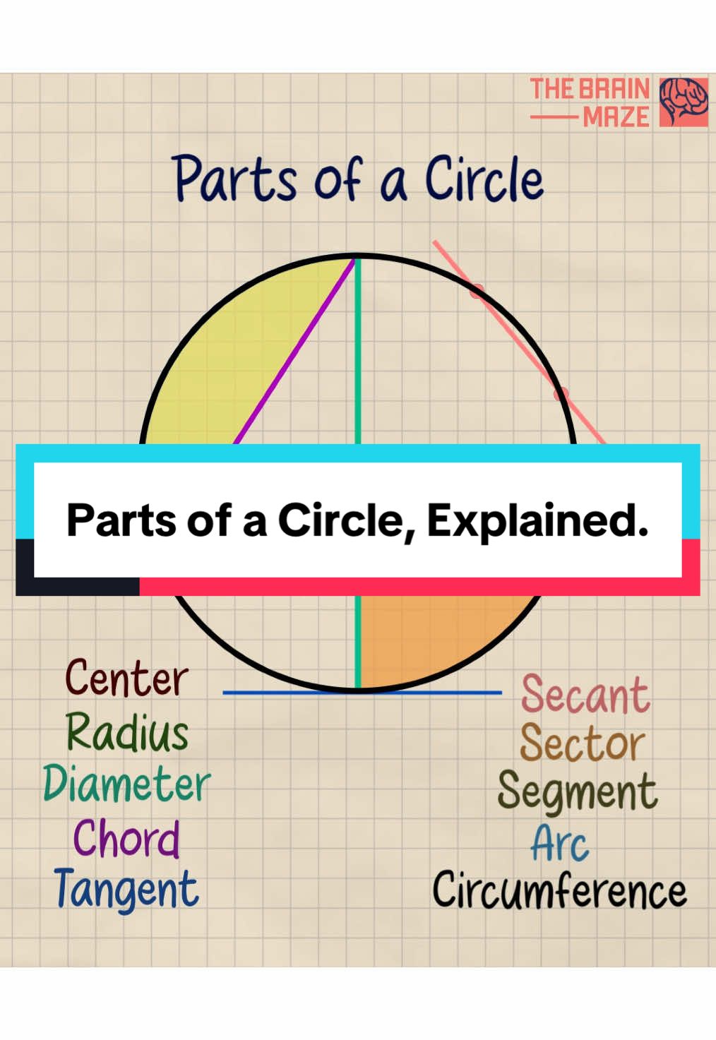 In this animation, you'll learn about the different parts of a circle. Each component is clearly defined and explained. Enjoy! #circle #math #animation #fyp #foryou #viral 