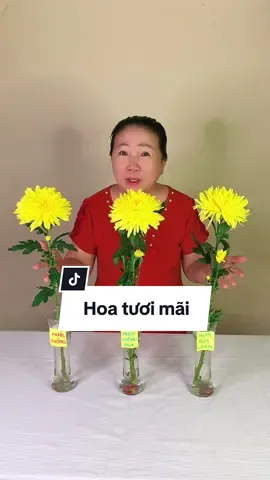 Nước dưỡng hoa tươi lâu cho ngày rằm, hoa nở tươi ngày Tết #mehuonghuong #hoatuoi #drnatro #nuocduonghoa
