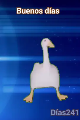 #buenosdias #buenosdias242 