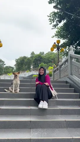 Def one of my sweetest moment in our life.  Lagi wisata di Vihara Dewi Kwan Im dan tiba-tiba disamperin sama stray dog yang extremely friendly. Kukira mau kek mane yekan ternyata ngajak salaman wee😭😭 nangis terharu bgtt😭😭 #doglover #dog #belitung 