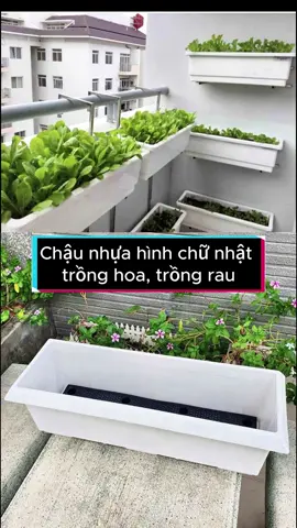 Chậu nhựa trồng cây hình chữ nhật thông minh, chậu trồng hoa, trồng rau, trồng cây cảnh #chaucay #chautrongcay #chauhoa #chaunhua #chautronghoa #chaunhuadai #chauchunhat  #chautrongcaychunhat #chauthongminh #chauchunhatthongminh #chautrongcay #chautronghoa #dogiadung #dogiadungtienich #xuhuongtiktok#salegiuathang #saleluongve #sieuhoinhasangtao #shophoasenvang #fyp #tiktokshop