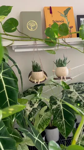 Best friends forever! Who could say no to these cute pots? Aren’t they just adorable? They make every corner cuter and more fun. #swinging #plantdecor #plantaccessories #cute 