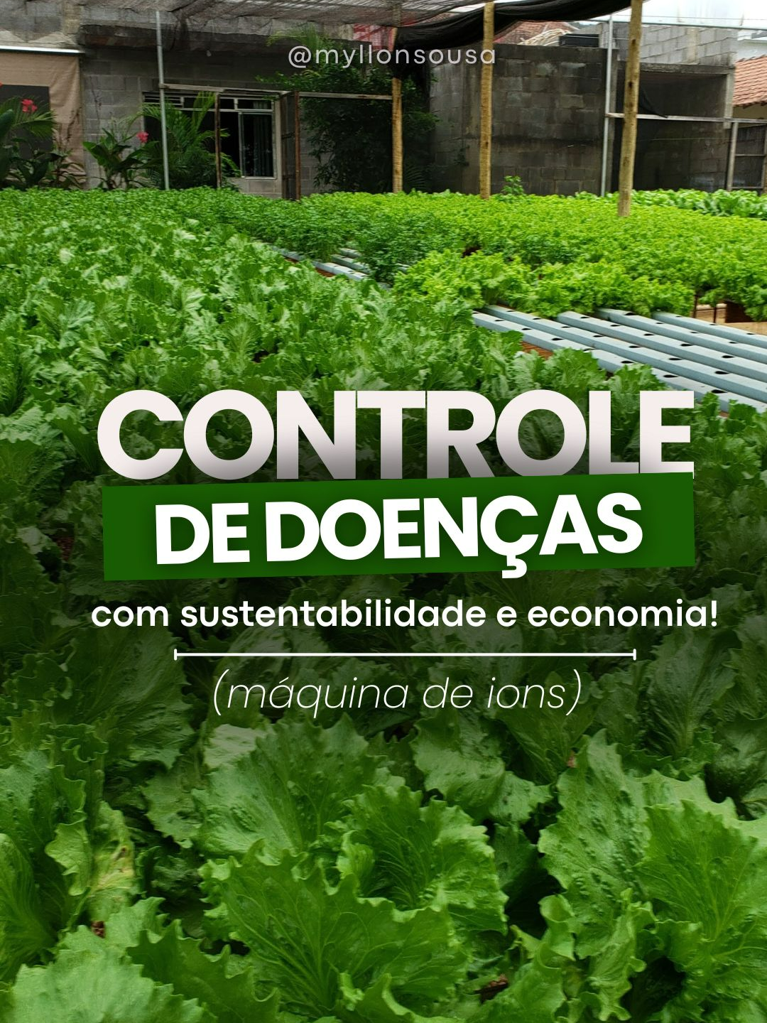 Desde que instalamos a máquina de íons no sistema, eliminamos produtos químicos para fungos e bactérias e reduzimos custos. Conectada à bomba de irrigação, ela mantém o ambiente saudável com consumo mínimo de energia, sem impacto na conta! Quer saber mais sobre essa tecnologia? Entre em contato! #HidroponiaSustentável #ControleDeDoenças #InovaçãoNoCampo #MáquinaDeÍons #AgriculturaEconômica