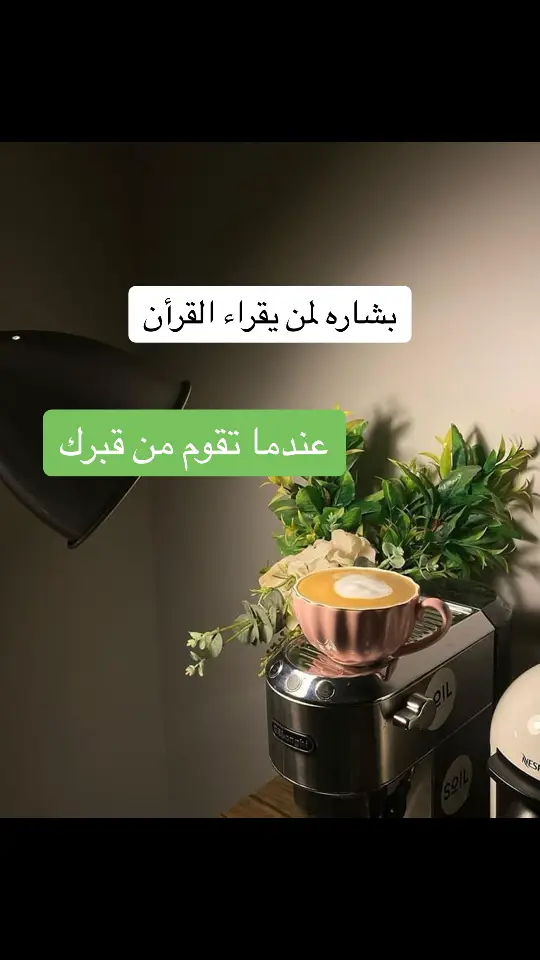 #صدقه_جاريه_لي_ولكم #اللهم_اغفر_للمؤمنين_والمؤمنات_المسلمين_والمسلمات_الاحياء_منهم_والاموات #alhamdulileh #تاج_الذكر #لا_اله_الا_الله #صلوا_على_رسول_الله #اللهم_صل_وسلم_وبارك_على_سيدنا #حديث_قدّسي🌻💙 #الهم_امين_يارب_العالمين🤲 #استمعوا_بقلوبكم_الي_القرآن_الكريم❤️❤️ #قران #قران_كريم #اكسبلورexplore #اسلاميات #1 #v #1millionaudition #tiktok #VoiceEffects #الاستغفار 