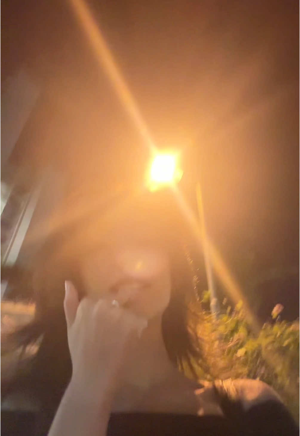 street lamp was a paid actor