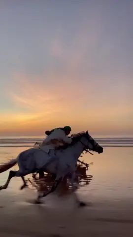 This Is Morocco #morocco #moroccotiktok #moroccotravel#travel #traveltiktok #travellife#maroc #trip #virał