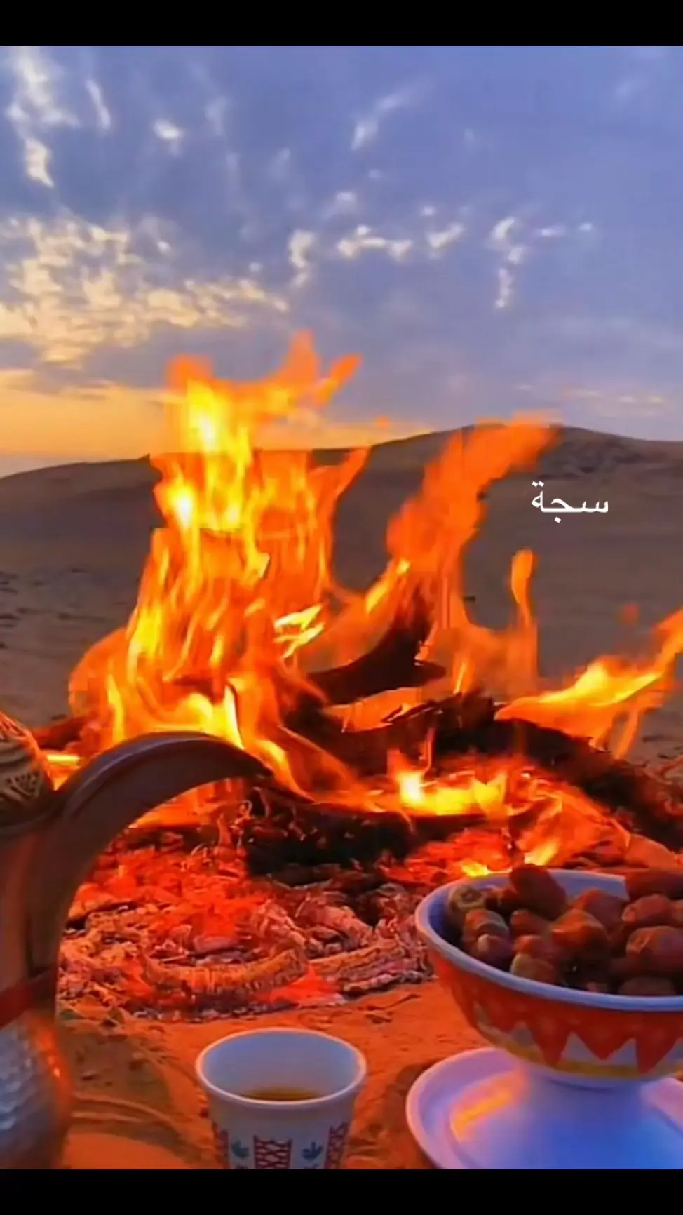 #شبة #سجات 