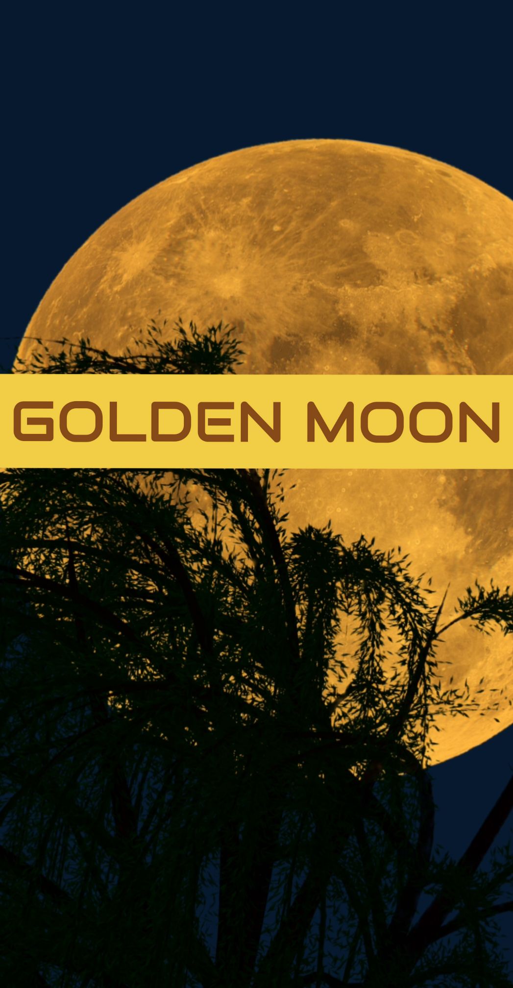 GOLDEN MOON 😍🤩🙌🙌 #moon #goldenmoon #moonart #moonlovers #moonrise #follower #tiktok #cremadeluxe #moonlight #sky 