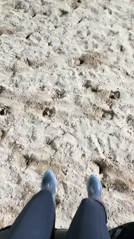 Always the best🥹🐎🩶 #مربط_البراء_النسائي #فروسية #lovestory #خيل_وخياله🐎 #horse #فارسة #خيل_فروسيه_حب #مربط #فرسان #CapCut #lovesong #horses 