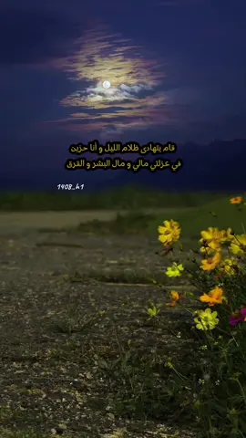 #غريب_الشعور #الليل #شيلة 