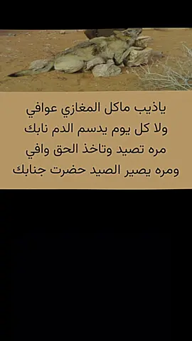 #فعلا👌❤❤ #امين#اكسبلور #fypシ゚ #fyp #explore ##قصيدة_شعر_أبيات #قصايد_شعر_خواطر_شيلات_الاكسبلور #قصيده_شعر_بوح_خواطر #قصيده_شعر_بوح_خواطر #محمدبن_فطيس #ة_الإبتسامة #fyp #مالي_خلق_احط_هاشتاقات #شعراء_وذواقين_الشعر_الشعبي🎸 #شعراء #هاشتاقات_تيك_توك_العرب #شعروقصايد_خواطر_غزل_عتاب #اللهم_صلي_على_نبينا_محمد ##اللهم_صلي_على_نبينا_محمد_وعلی_ال_محمد❤💎 #قصيدة_جزله #الانتشار_السريع #قصيدة_شعر_أبيات #مالي_خلق_احط_هاشتاقات🦦 #محمدبن_فطيس #مالي_خلق_احط_هاشتاقات🧢 #طلعوني_اکسبلور #شعراء_وذواقين_الشعر_الشعبي🎸 #شعراء #شعروقصايد_خواطر_غزل_عتاب #هاشتاقات_تيك_توك_العرب #هاشتاقات_تيك_توك_العرب #اللهم_صلي_على_نبينا_محمد #قصيدة_جزله #قصيدة_جزله #هواجيس #fyp #قصيده_شعر_بوح_خواطر #هواجيس_الليل #شعراء_العراق_جنوب_العراق #خواطر #شعراء_وذواقين_الشعر_الشعبي🎸 #الانتشار_السريع_الطائف #الانتشار_السريع #محمدبن_فطيس #قصايد_شعر #قصيدة_شعر_أبيات #طلعوني_اکسبلور #هواجيس_الليل #قصايد_شعر_خواطر_شيلات_الاكسبلور #قصيده_شعر_بوح_خواطر #مالي_خلق_احط_هاشتاقات #fyp #مالي_خلق_احط_هاشتاقات🧢 #فعلا👌❤❤ #امين #fyp #explore #tutorial #قصيدة_شعر_أبيات #قصايد_شعر_خواطر_شيلات_الاكسبلور #قصيده_شعر_بوح_خواطر #قصيده_شعر_بوح_خواطر #محمدبن_فطيس #ة_الإبتسامة #fyp #مالي_خلق_احط_هاشتاقات #مالي_خلق_احط_هاشتاقات🧢 #طلعوني_اکسبلور #شعراء_وذواقين_الشعر_الشعبي🎸 #شعراء #شعروقصايد_خواطر_غزل_عتاب #هاشتاقات_تيك_توك_العرب #هاشتاقات_تيك_توك_العرب #اللهم_صلي_على_نبينا_محمد #قصيدة_جزله #قصيدة_جزله #هواجيس #fyp #قصيده_شعر_بوح_خواطر #هواجيس_الليل #شعراء_العراق_جنوب_العراق #خواطر #شعراء_وذواقين_الشعر_الشعبي🎸 #الانتشار_السريع_الطائف #الانتشار_السريع #محمدبن_فطيس #فعلا👌❤❤ #امين #fyp #explore #tutorial #قصيدة_شعر_أبيات #قصايد_شعر_خواطر_شيلات_الاكسبلور #قصيده_شعر_بوح_خواطر #قصيده_شعر_بوح_خواطر #محمدبن_فطيس #ة_الإبتسامة #fyp #مالي_خلق_احط_هاشتاقات #مالي_خلق_احط_هاشتاقات🧢 #طلعوني_اکسبلور #شعراء_وذواقين_الشعر_الشعبي🎸 #شعراء #شعروقصايد_خواطر_غزل_عتاب #هاشتاقات_تيك_توك_العرب #هاشتاقات_تيك_توك_العرب #اللهم_صلي_على_نبينا_محمد #قصيدة_جزله #قصيدة_جزله #هواجيس #fyp #قصيده_شعر_بوح_خواطر #هواجيس_الليل #شعراء_العراق_جنوب_العراق #خواطر #شعراء_وذواقين_الشعر_الشعبي🎸 #الانتشار_السريع_الطائف #الانتشار_السريع #محمدبن_فطيس 