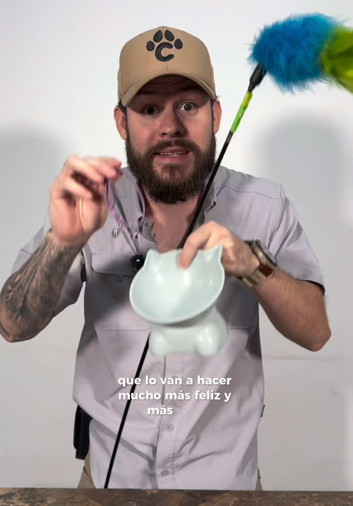 Mejorar la vida de tu gato no es tan dificil, hay detalles importantes!