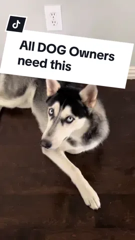 #creatorsearchinsights #dogowner #cleanhome #cleaninghack #hairremovalbroom #pethairremovalbroom #capetcleaning  if you a dog owner with capets at home you definitely need hair removal broom ! #TikTokShop 