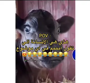 وشه بتاق قبل ما يوشك 😂😂😍 #تصميميـ #ليبي #ليبيه #ليبيا_ارض_البدو🇱🇾 #طبرق_ليبيا #بنغازي_ليبيا🇱🇾 #مصراته_الصمود #طرابلس_عروس_البحر #البيضاء_الجبل_الاخضر #درنه_ليبيا #رايكم_يهمني #ادعموني_عشان_نستمر_وانزلكم_اكتر🥰 #ساجد_بن_اسليمان🇱🇾 