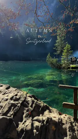 the most gorgeous country and the perfect time to go  autumn in Switzerland >> #fall #switzerland #travel #traveltiktok #traveltok #switzerlandtravel #nature #naturevibes #switzerlandnature 