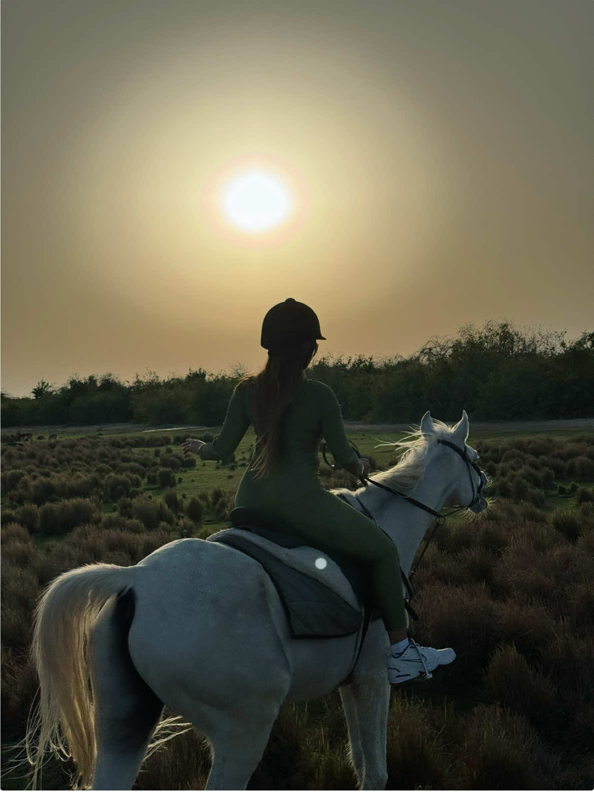My love 🐴♥️ #horses #equestrian 🏇  #horsegirl #horsesoftiktok #foryou #dubai 