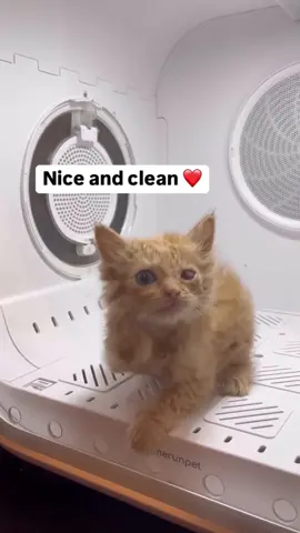 Bath time with Wink ❤️