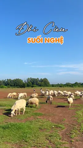 Khung cảnh đồi cừu Suối Nghệ cùng các bạn nhỏ, thật dễ thương. #doicuu #doicuusuoinghe #dulichvietnam #nguyennhiem #tuoitho #bariavungtau 