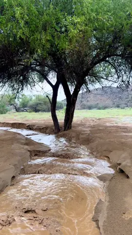 #ثلاثاء_بني_عيسى #القنفذه #تصويري📷 #بني_عيسى 