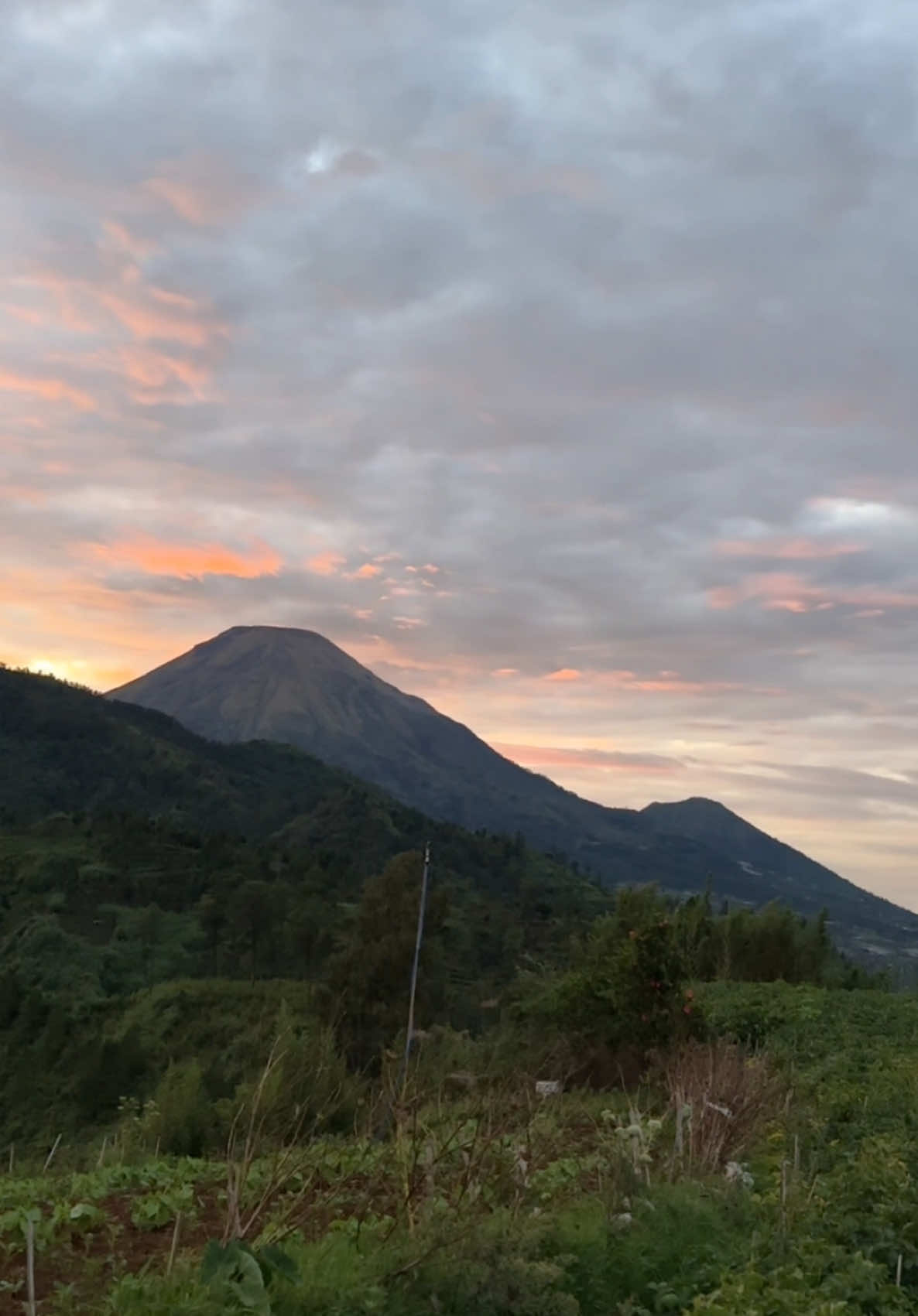 Tempat tersepi di Dieng ternyata pemandangan seindah ini, heran kenapa jarang banget ada yang kesini  #fyp #dieng #wonosobo 