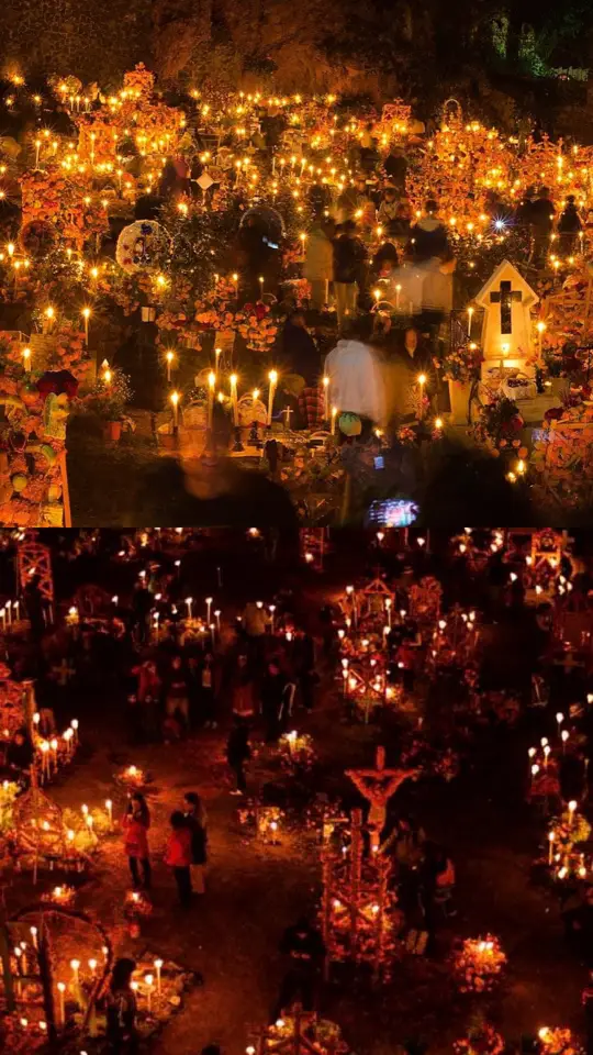 Lạy Chúa, xin cho các linh hồn được nghỉ yên muôn đời, và cho ánh sáng ngàn thu chiếu soi trên các linh hồn ấy.  — #caunguyen #conggiao #thanhca #thangcauchocaclinhhon 