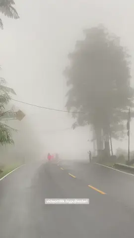 Puncak + hujan + kabut+ istrument heart = “Syahdu “❤️❤️#fyp #viral #puncakbogor #hujan 
