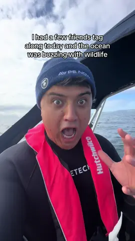 Day out fishing and diving