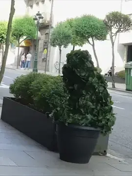 #bushman #bushmanprank #bushmanpranks #funny #prank #scary #funnyvideos #scareprank #hashtag 