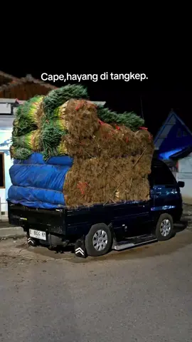 butuh kehangatan 🤪🤭#fyp #trend #drivermuda #storysunda #katakatasunda #majalengkapride🏴‍☠️ #storipikup #storytime 