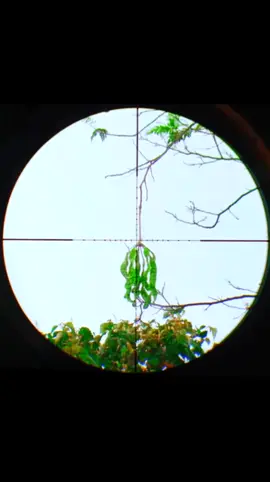 selamat berakifitas sobat #hunter #telescope #fyp  #hunting  #sumateraselatan 