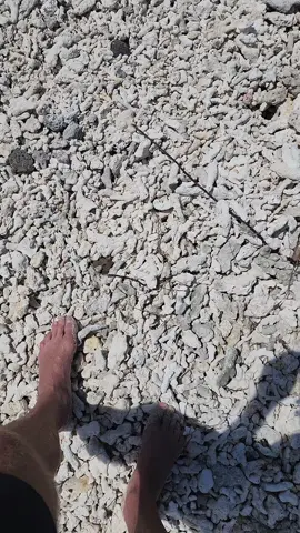 Fire walking ...but different #firewalk #meditation #zen #notzen #sore #ouch #why #coral 