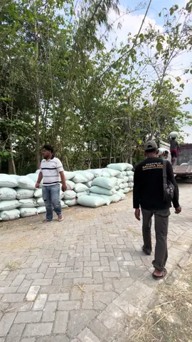 Persiapan ngisi,selak udann #gabahbojonegoro #bakulgabahmuda🌾🌾 #gabahbalap🌾 