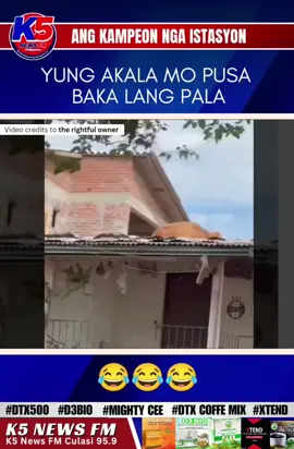 YUNG AKALA MO PUSA, BAKA LANG PALA. 😂😂😂 