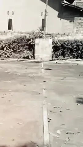 maaf telat trend ges#fyp #ikuttrendtiktok  #masukberanda 