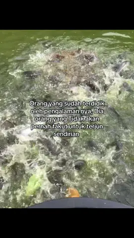 Pengalaman adalah sebuah pelajaran berharga 👑 #pengusahamuda #anakmuda #petanimuda #peternakmuda #petanilele #pengusaha #peternaklele #bisnis #ikanlele #katakata #bluecore #tiktok #fyp #foryoupage #4u #xyzbca #masukberanda 