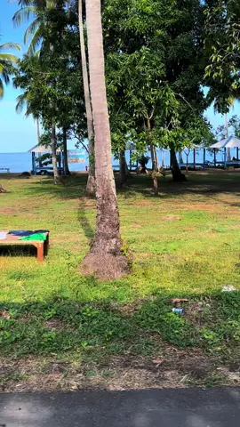 perjalanan sinjai-bira#pelabuhanbira#sinjaitimur #tiktok #capcut #pantaibiru #pantaiabadi 
