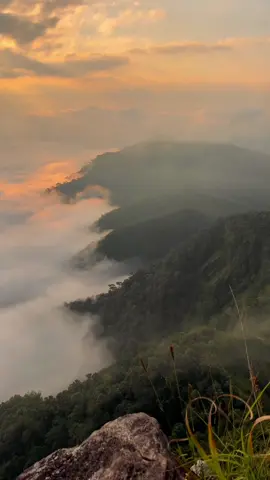 พึ่งเข้าใจคำว่า สวยเหมือน ไม่มีอยู่จริงก็วันนี้แหละ 😳⛰️ #เลอกวาเดาะขุนเขาแห่งศรัทธา #แม่เมย #เที่ยวกะโฟล์ค #เดินป่าไทย 