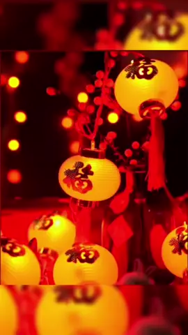 Dây đèn trang trí siêu xinh #denlong#dentrangtri #trangtritet 