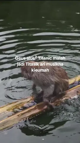 Geus moal baleg lah 😌 #capruk #katakatasunda #storysunda #atuheuy 