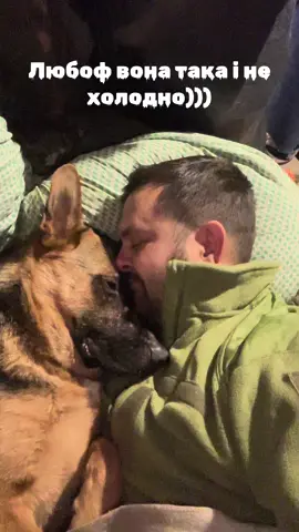 #шобакен #овчарка #вівчарка #вівчарканімецька #любоф #малявка #репост #рек #собака #militaridog #💙💛 #🇺🇦 #😘 