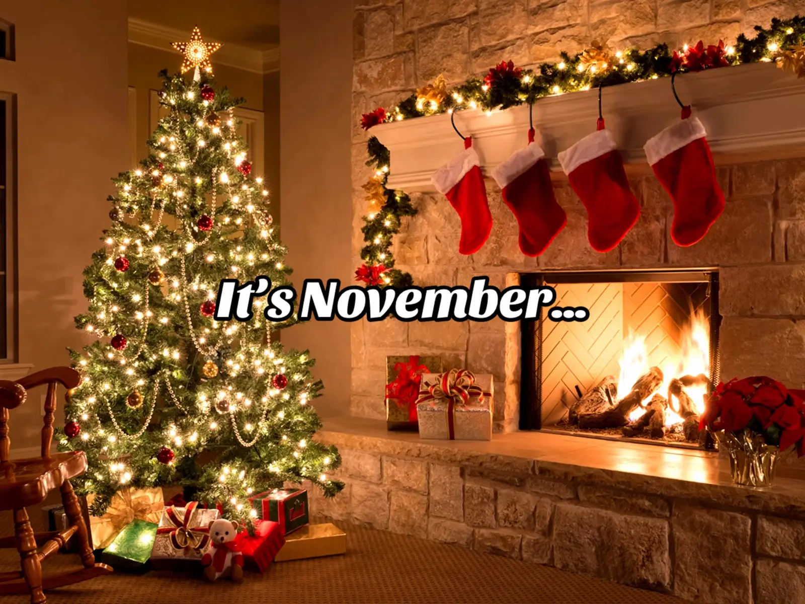 #war #ww1 #ww2 #rememberenceday #poppy #remember #lestweforget 