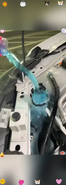 Guess what Our loyal customer has some awesome tips to share that we never saw coming. #cardetailing #honestreview #RealResults #tiktokshopping#tiktokshopblackfriday #tiktokshopcybermonday #spotlightfinds 