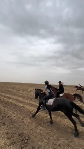 🐎🌧️ #fyp #mamcenter #خيل_وخياله🐎 #اربيل #horseriding #كردستان #foryou #فروسية #kurdishgirl #kurd 