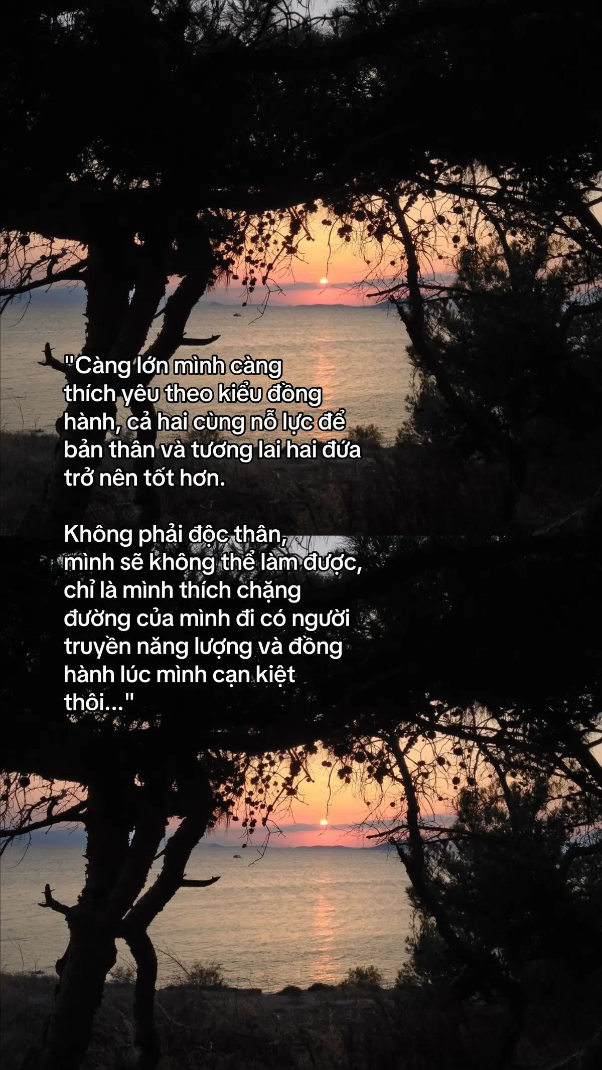 #tolathaoday #xuhuong #lyrics #fyp #tiktok 